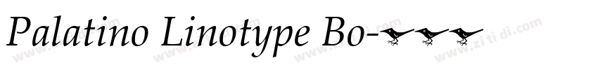 Palatino Linotype Bo字体转换
